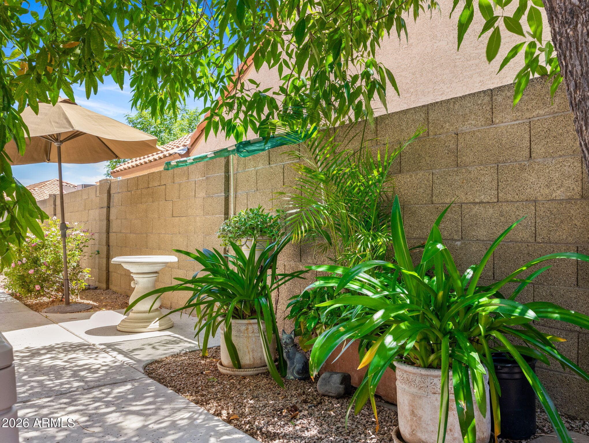 10234 N 54th Dr — photo 34
