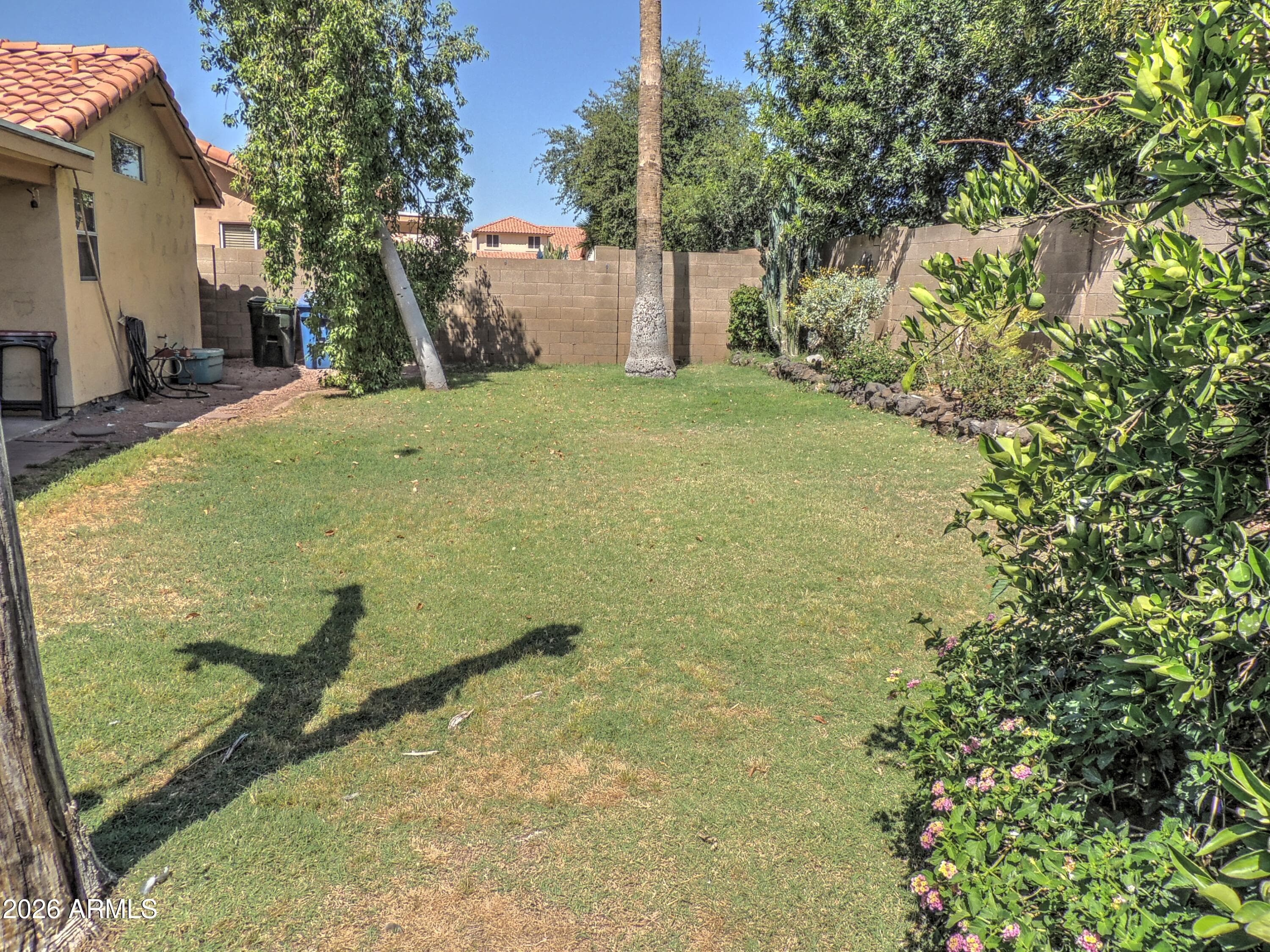 4426 E White Aster St — photo 15
