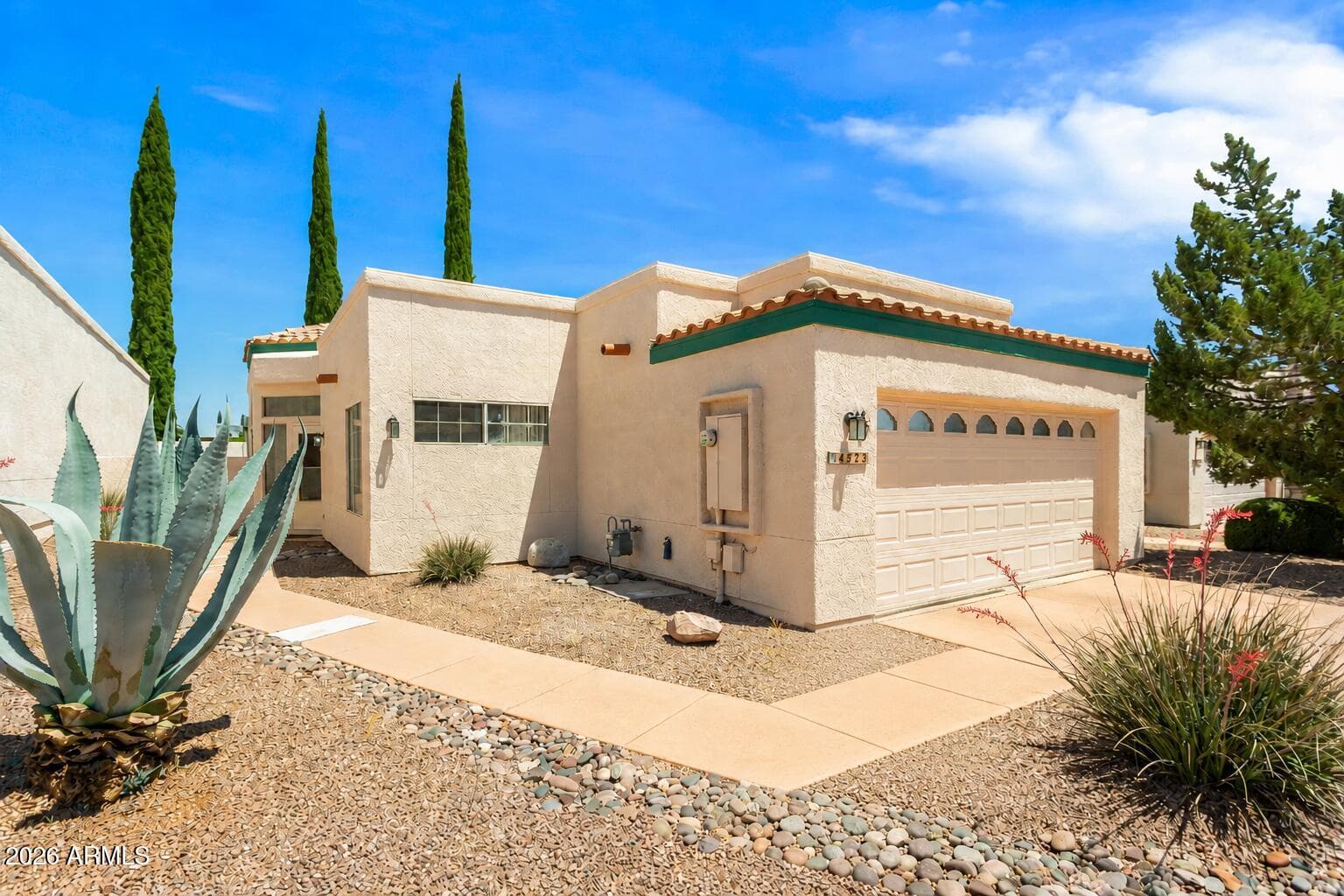 4525 Desert Springs Trail — photo 33