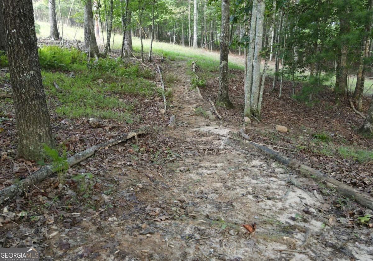 41 Old Wilscott Ln — photo 60