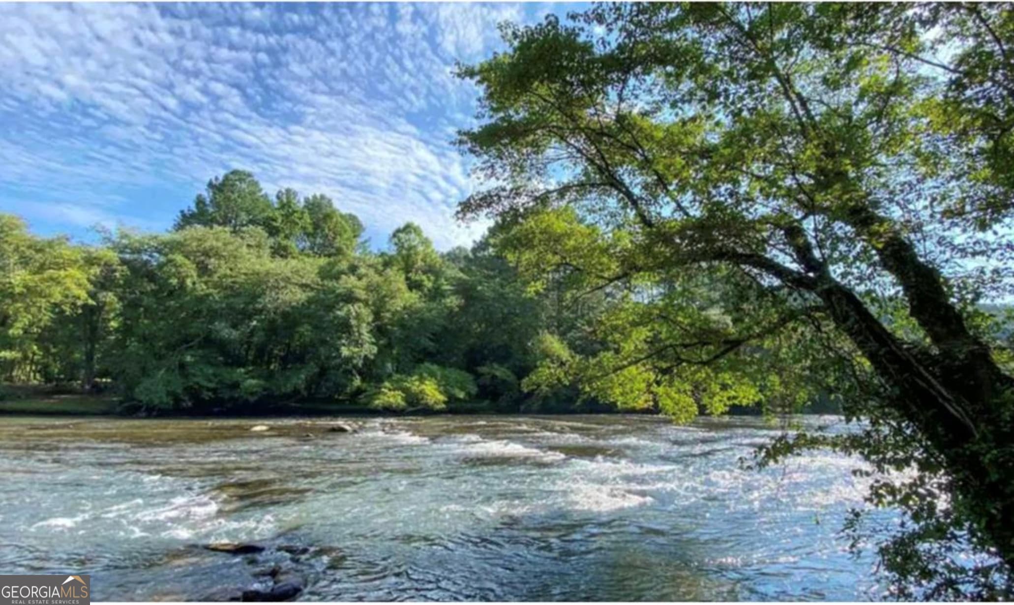 355 West Shalom — photo 46