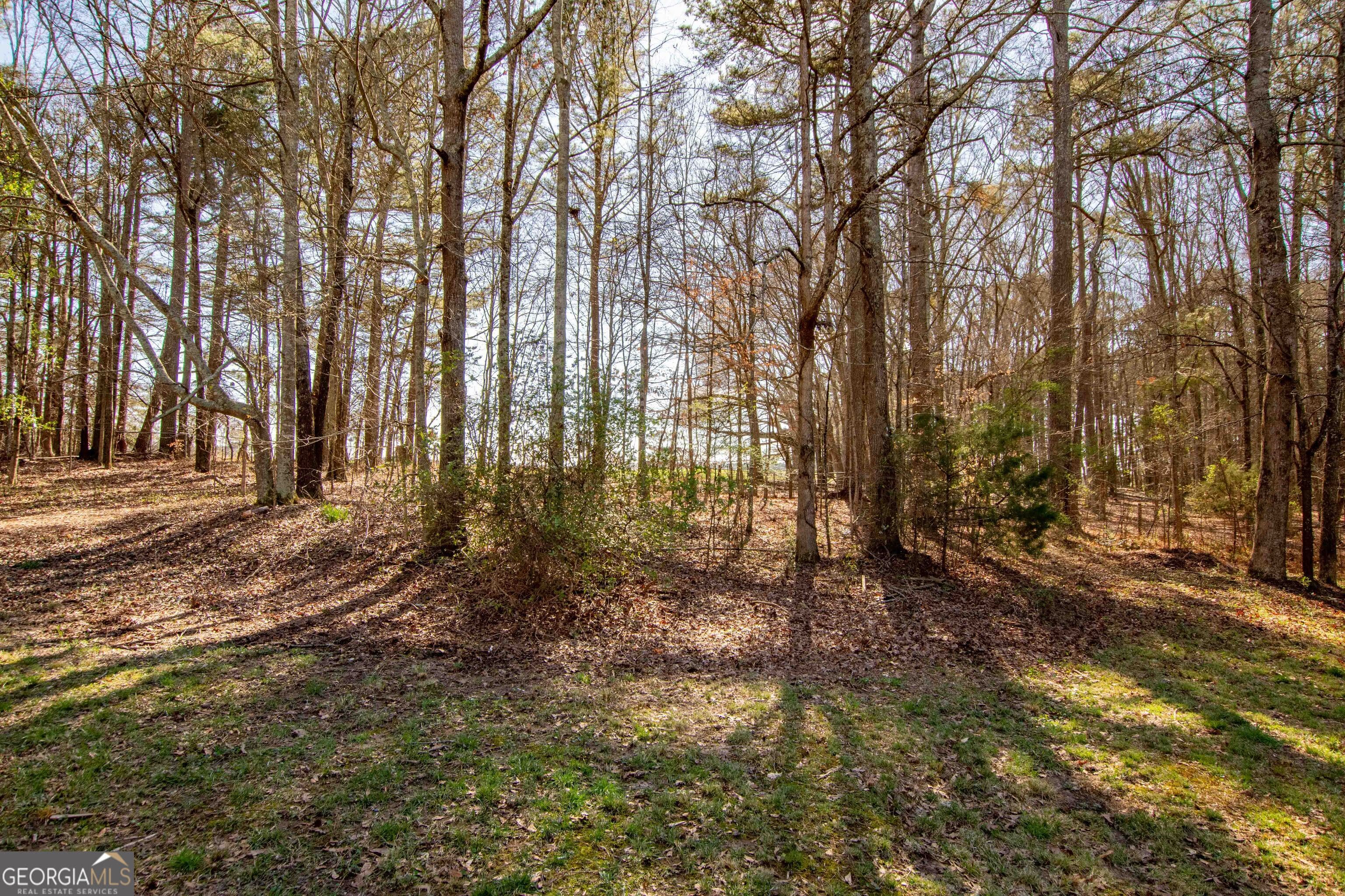 4204 Logans Bluff — photo 37