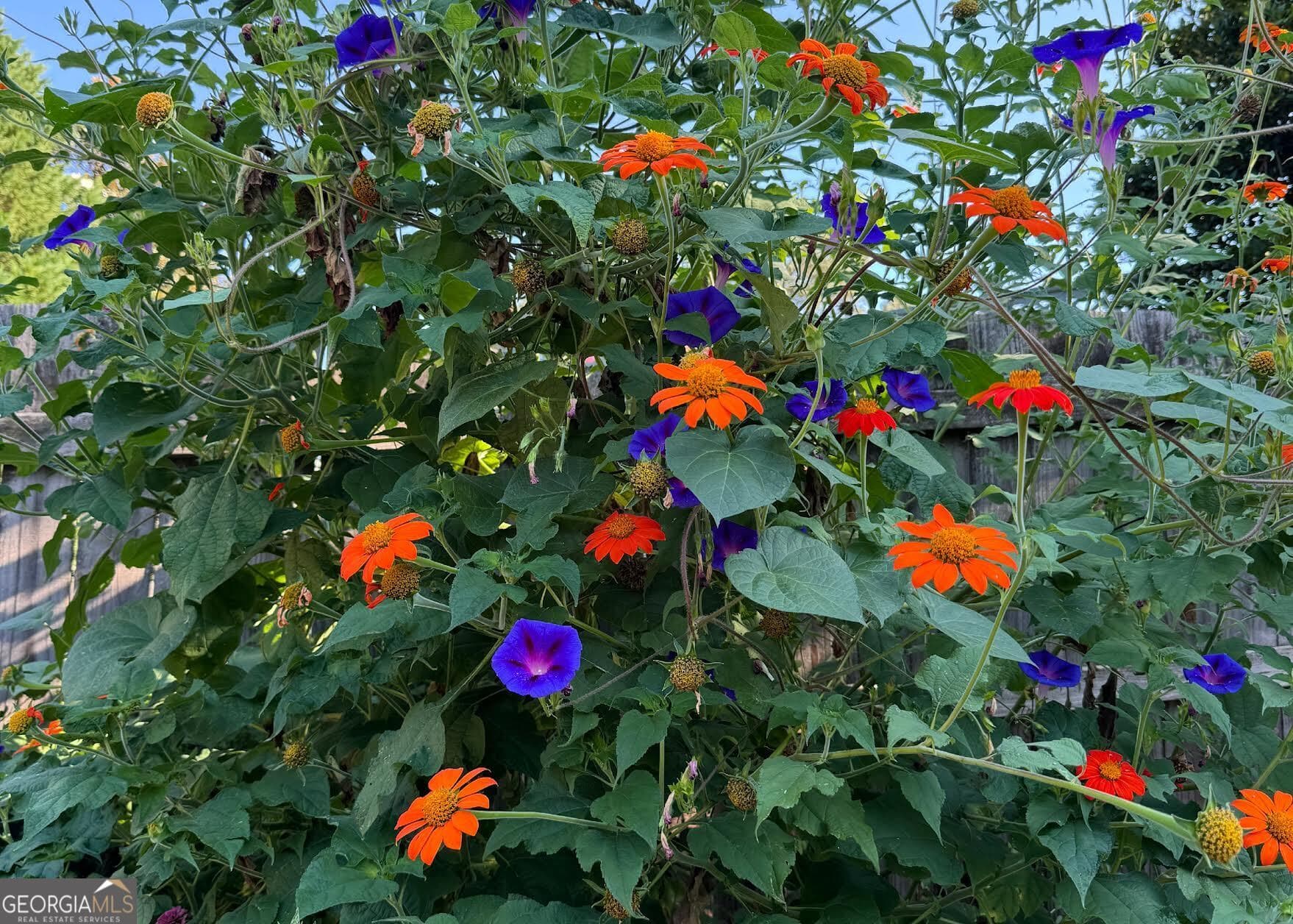 816 Woodland Dr — photo 36