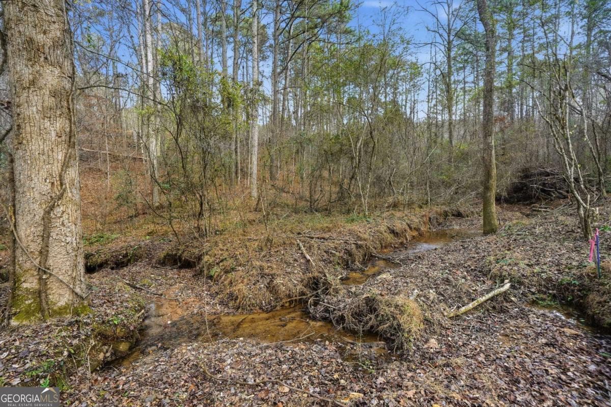 677 Catawba Circle — photo 73