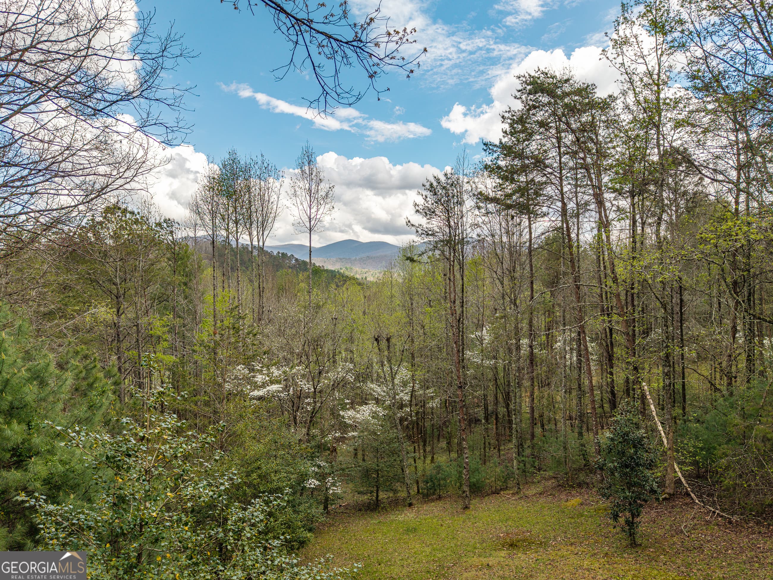 238 Cedar Ridge Rd — photo 2