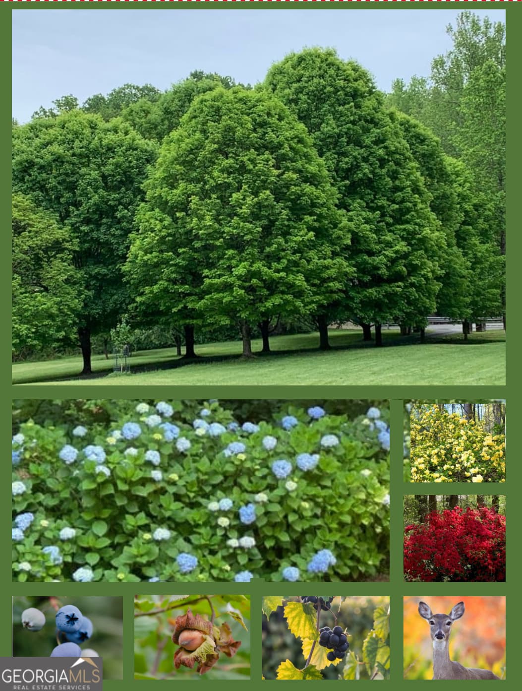 3740 Woodlane Rd — photo 66