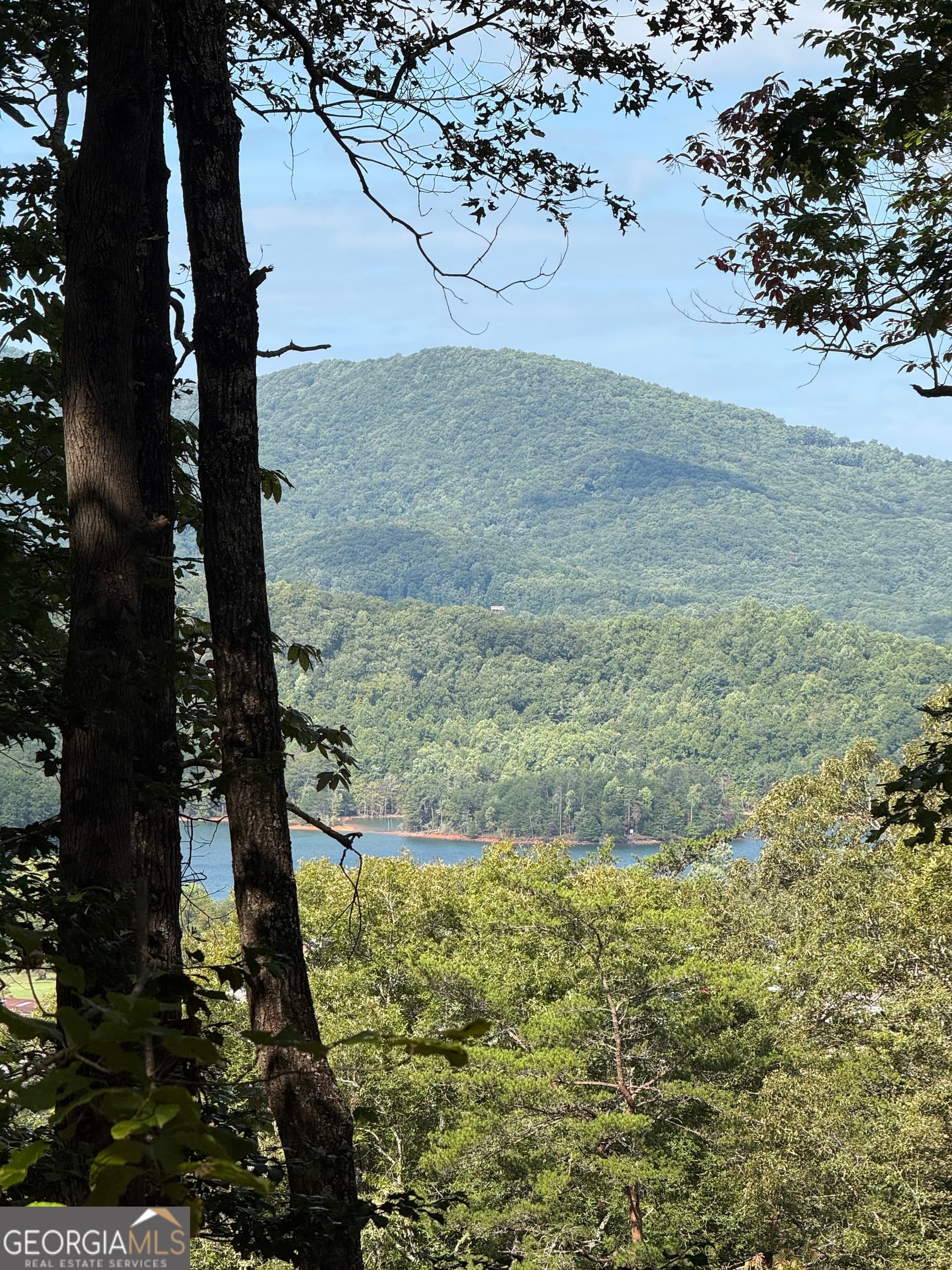 Lot 4 Whiskey Mountain Estates — photo 10