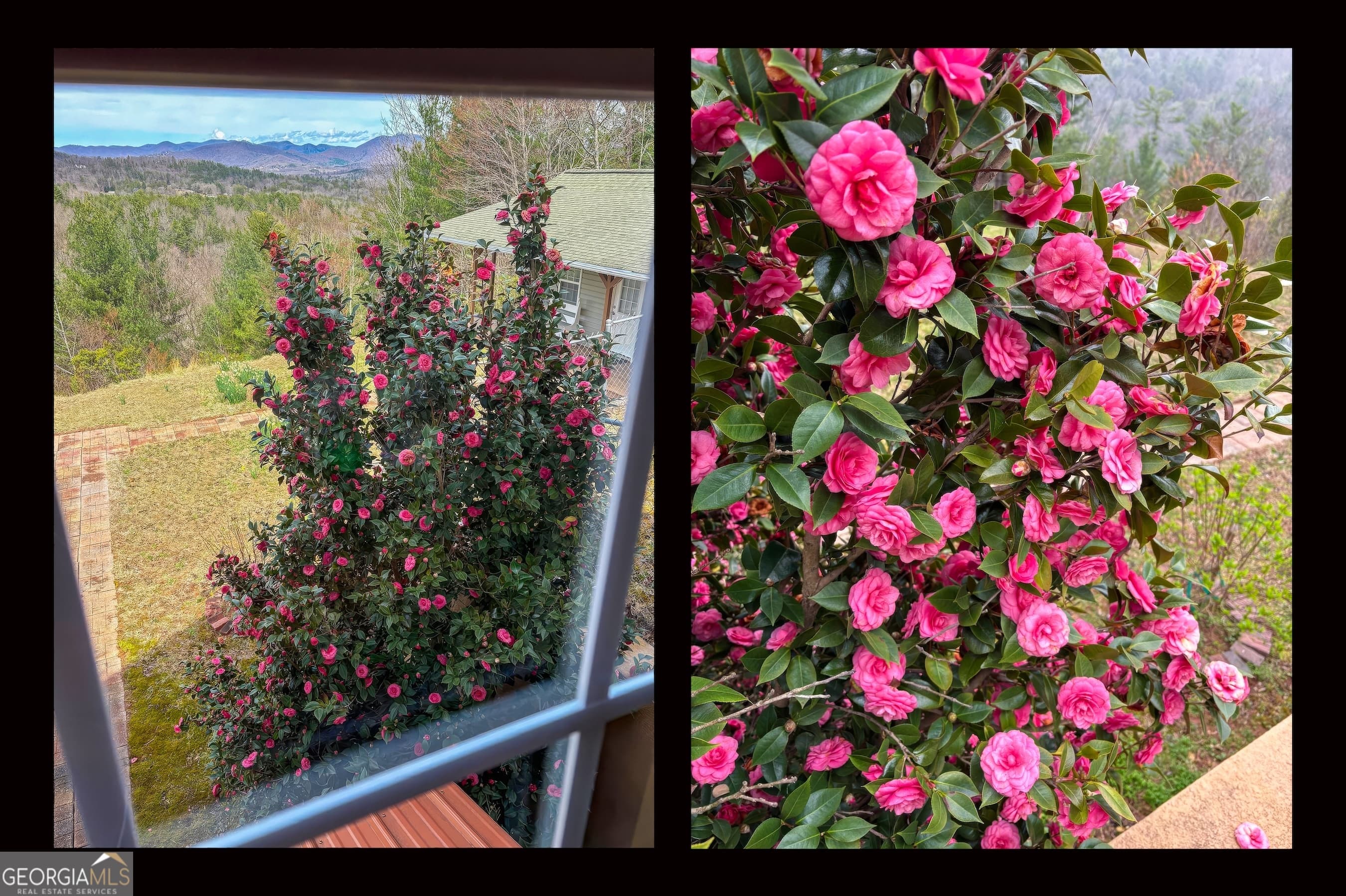 27 Sky High Dr — photo 65