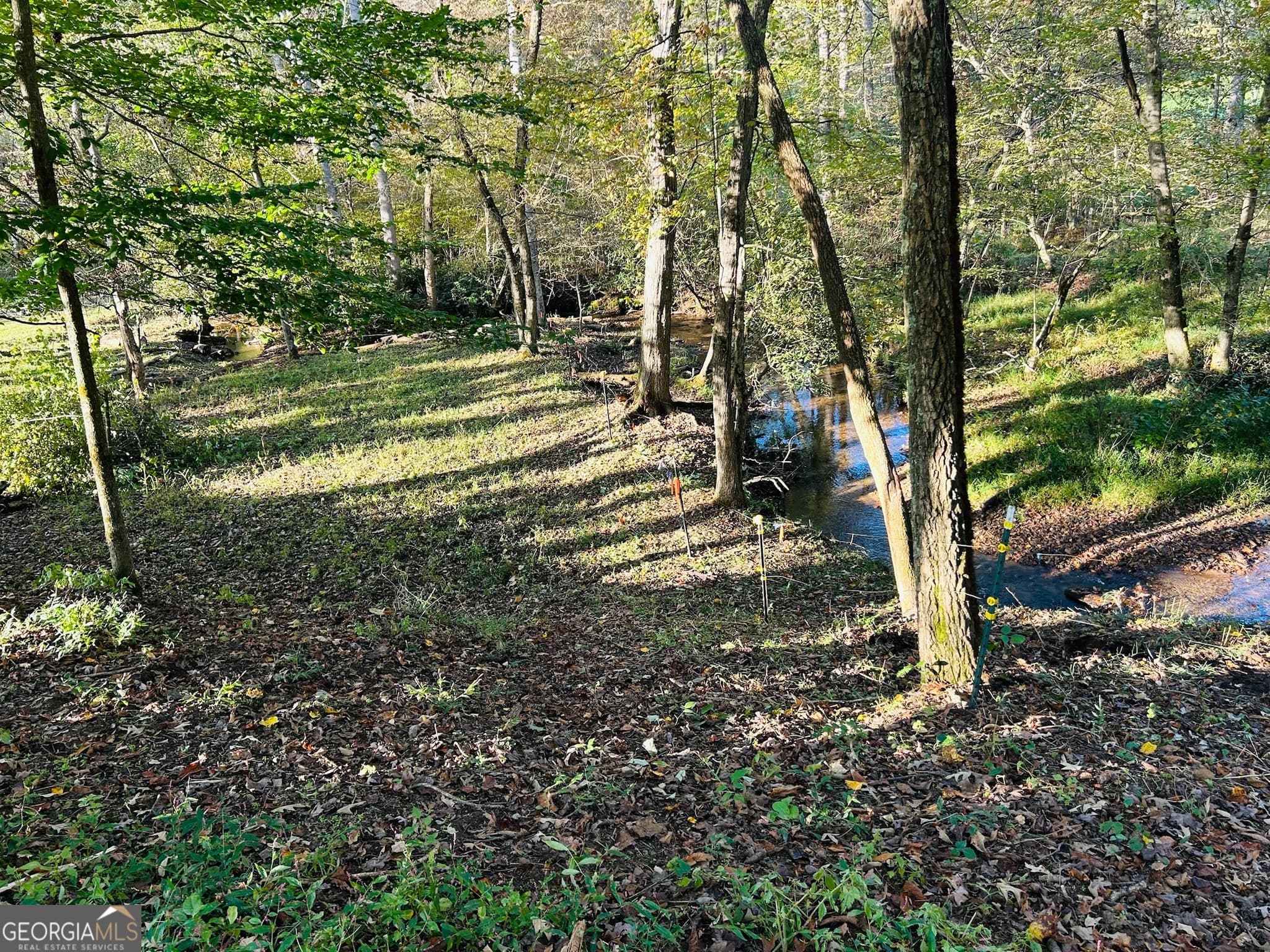 1306 Hot House Rd — photo 128