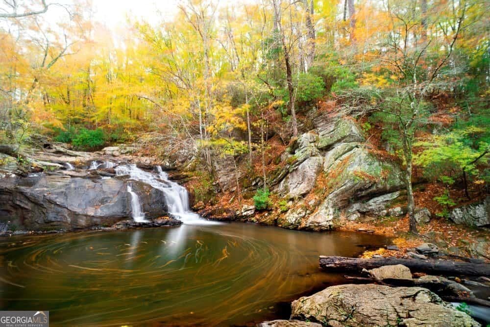 6354 Shannon Parkway 2D — photo 10