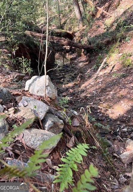 106 Fernbanks Ct — photo 30