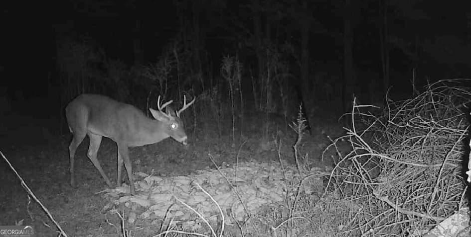 1584 Lexington Carlton Rd — photo 19