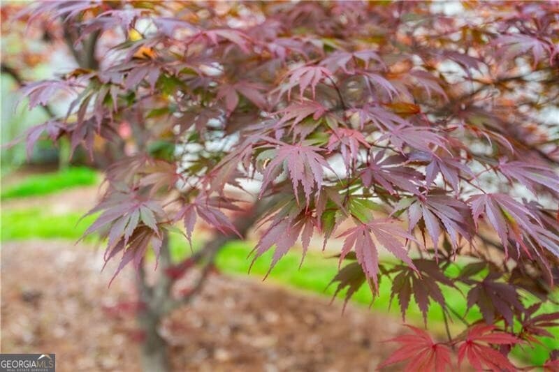 229 Dennis Dr — photo 36