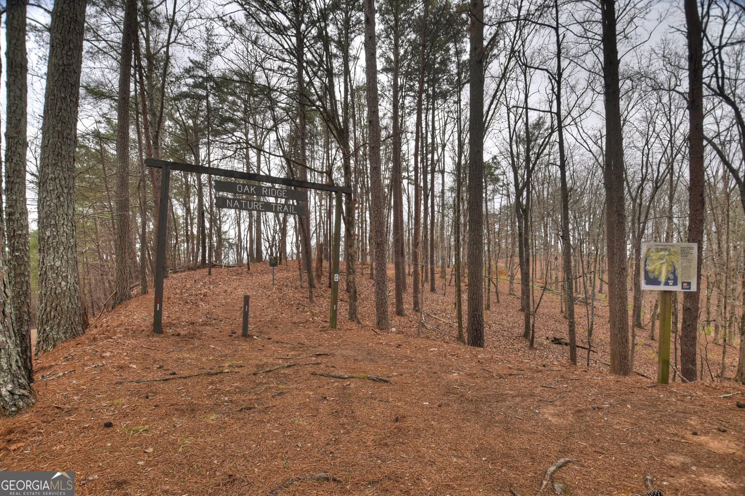 144 Emerald Cove Dr — photo 67