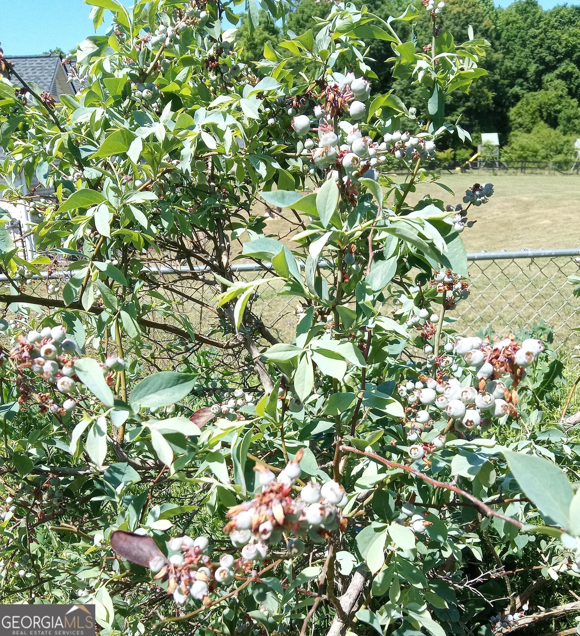 1109 Larkspur Dr — photo 18