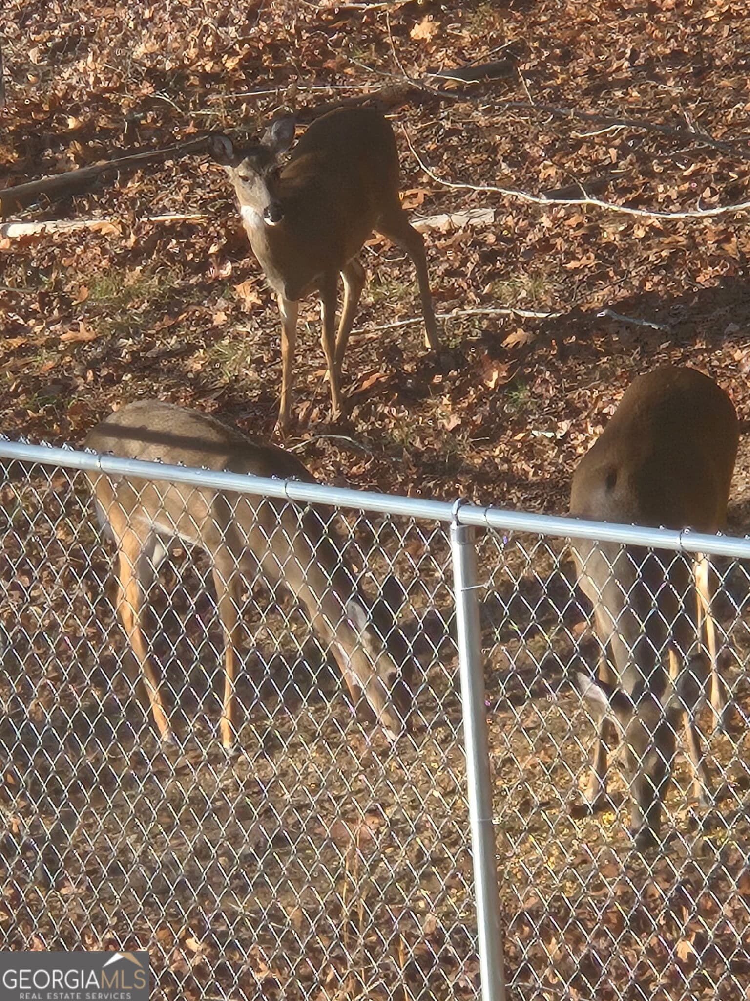 476 W West Wind Dr — photo 35