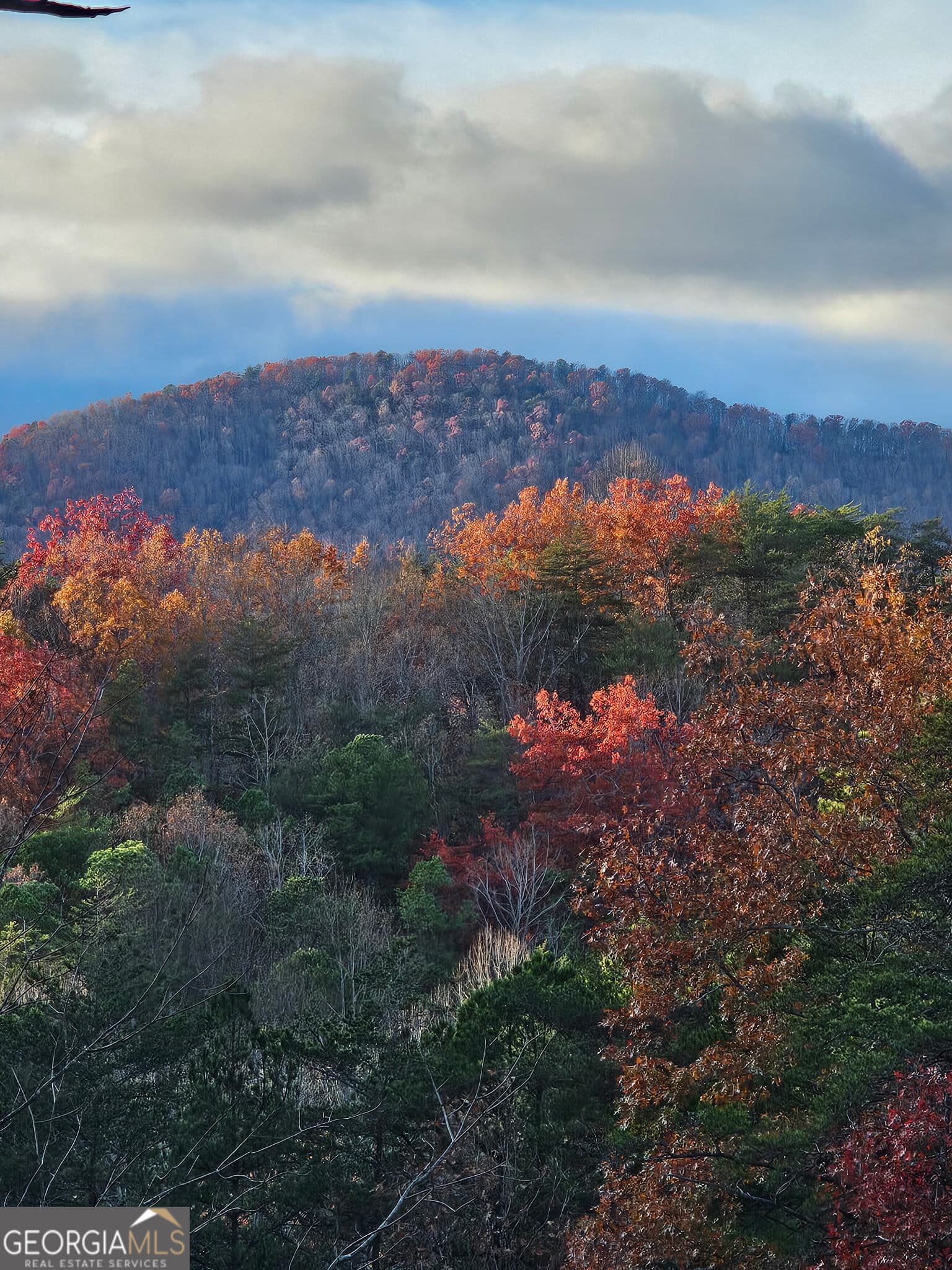 451 Pinecrest Rd — photo 65