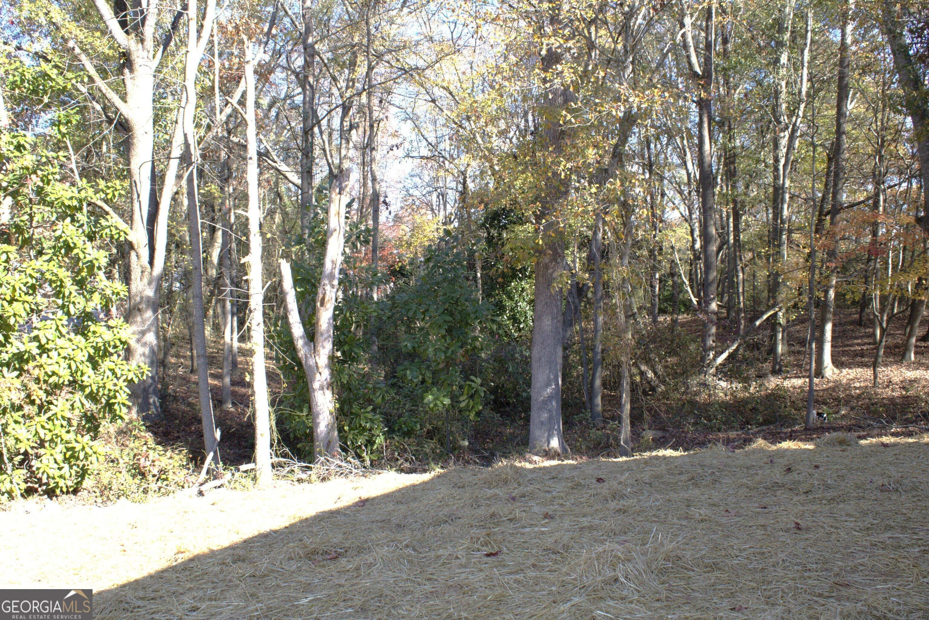 123 Fairview Station — photo 23