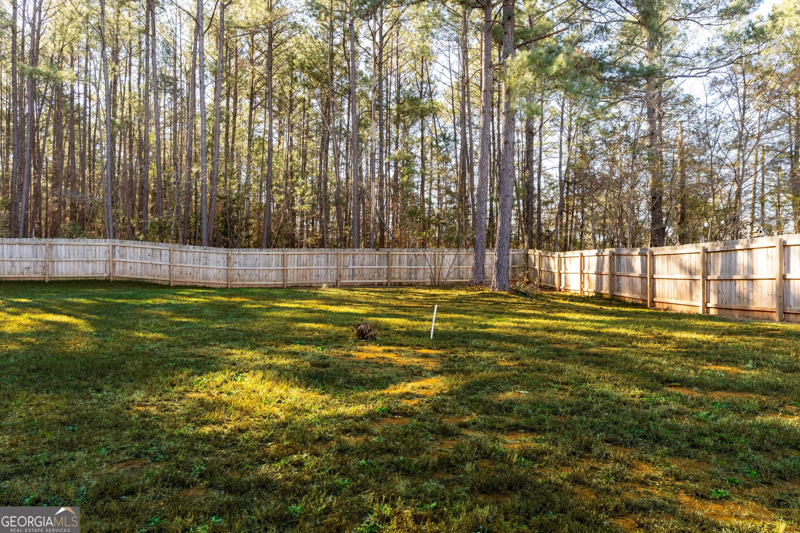 157 Watkins Dr — photo 31