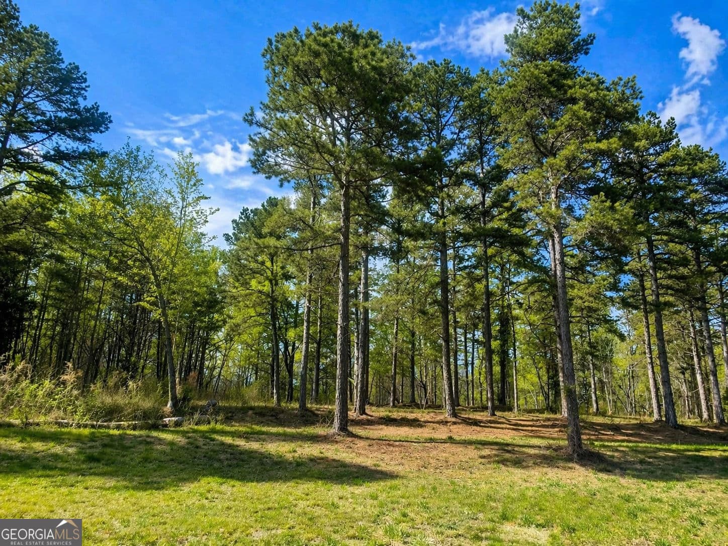 575 Hardy Rd — photo 2