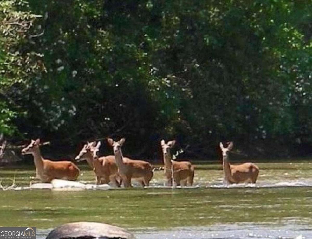 102 Mizzen Ct — photo 48