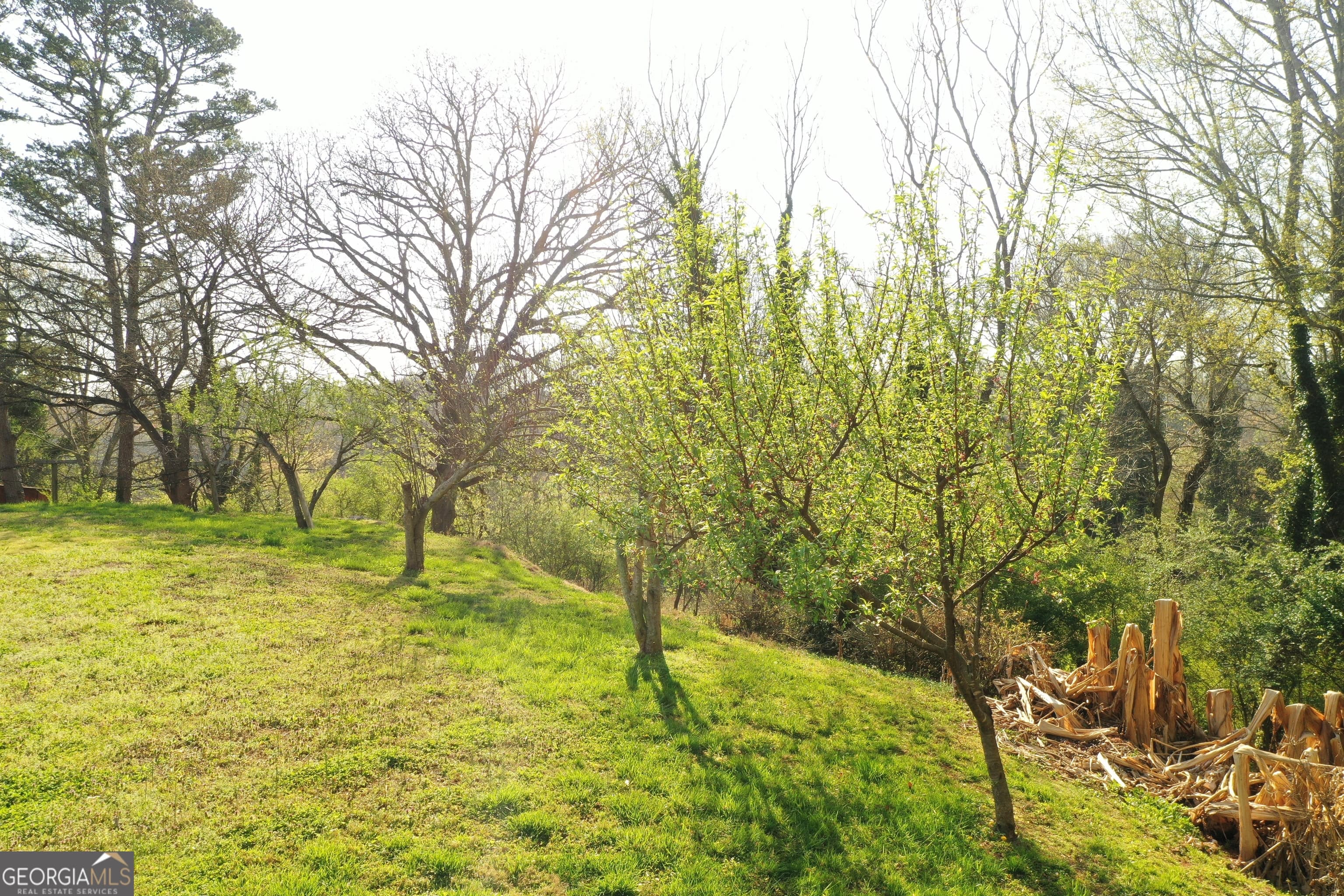 152 Eastside Dr — photo 23