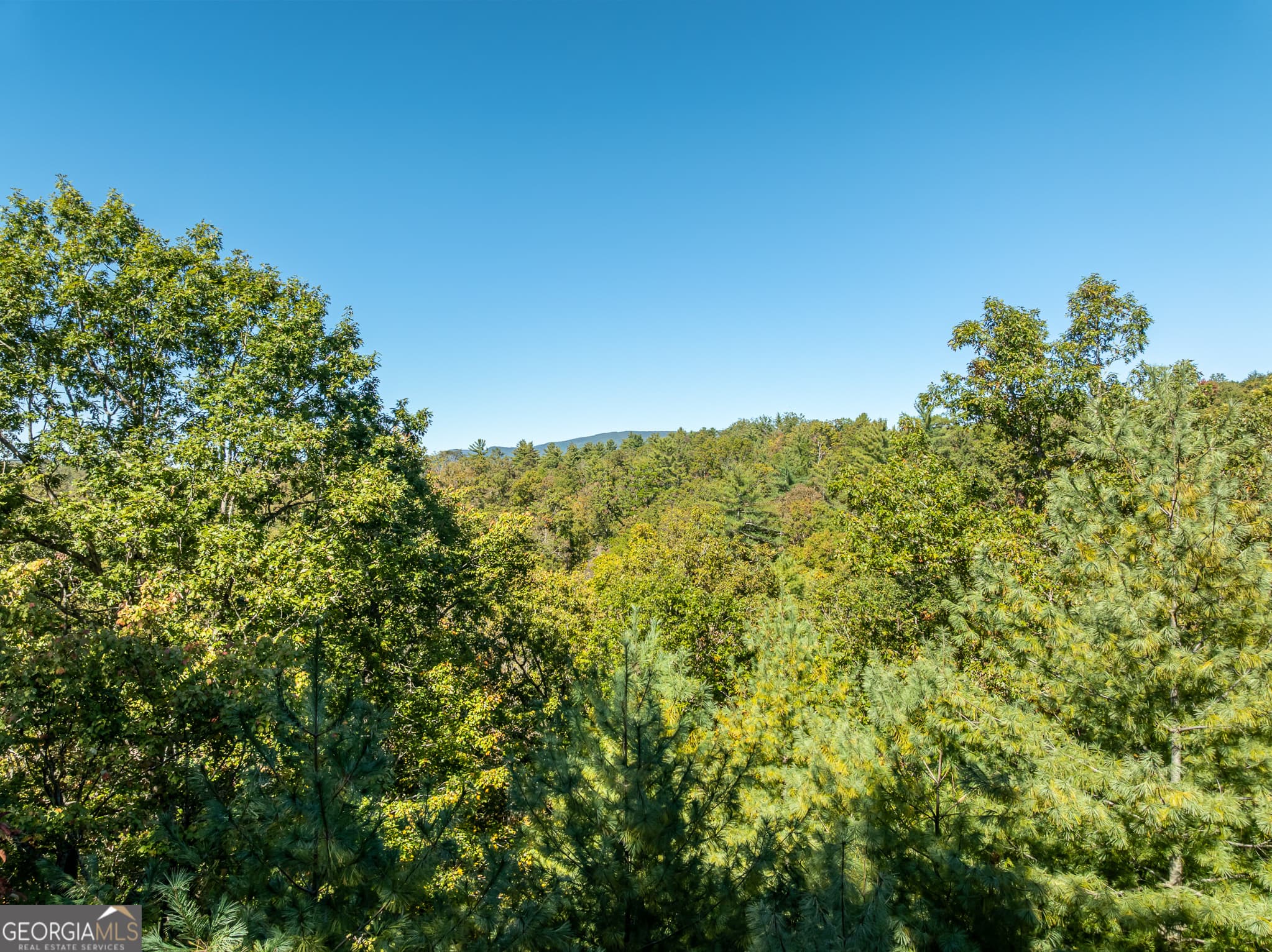 345 Zion Hill Rd — photo 47