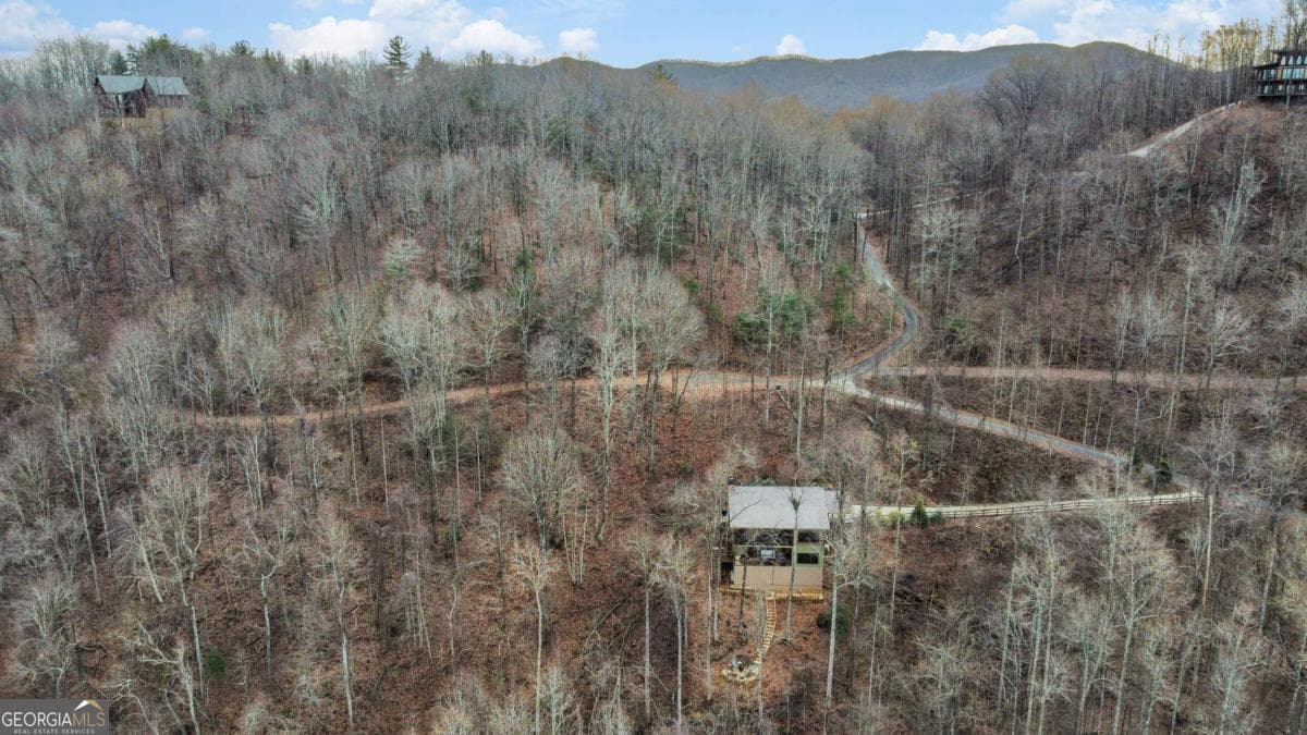 401 Dancing Leaves Trail — photo 38