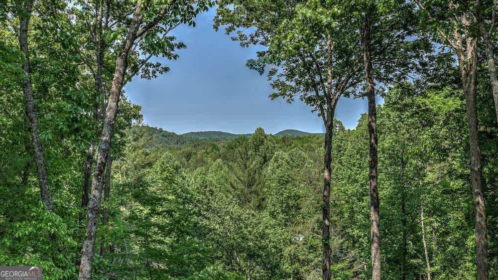 155 Shayla Dr — photo 2