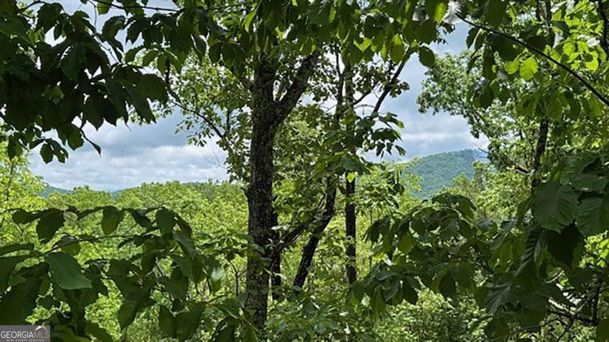 108 Crabapple Ln — photo 2