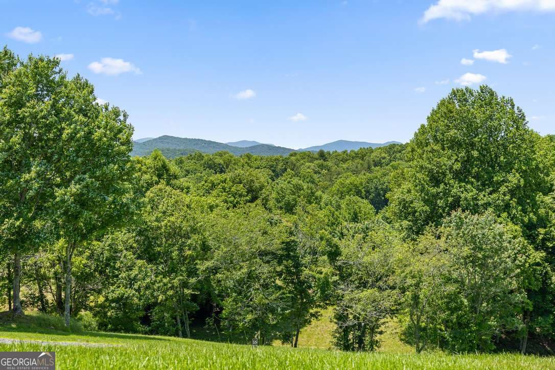 171 Big Valley Dr 75 — photo 56