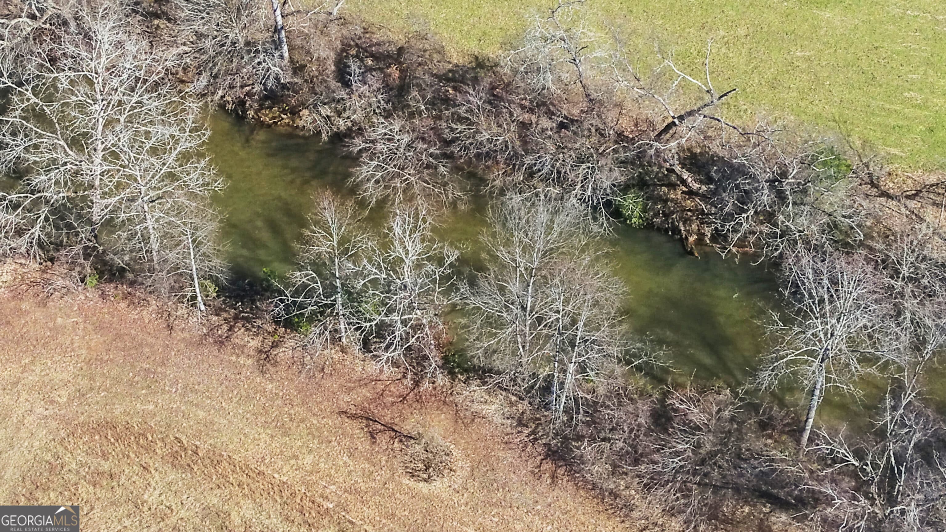 133 Elkmont Dr — photo 63