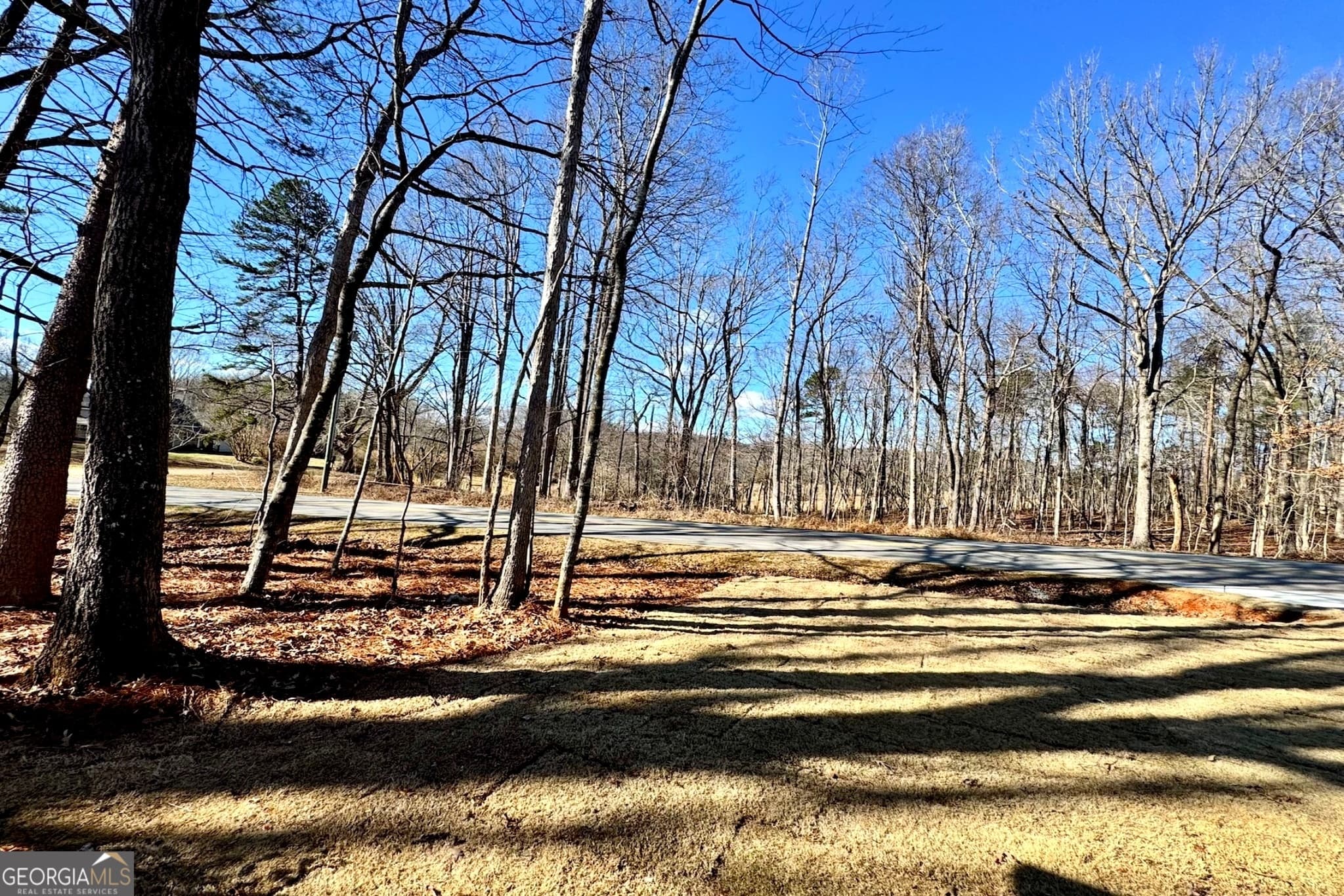 954 The Orchard Rd — photo 35