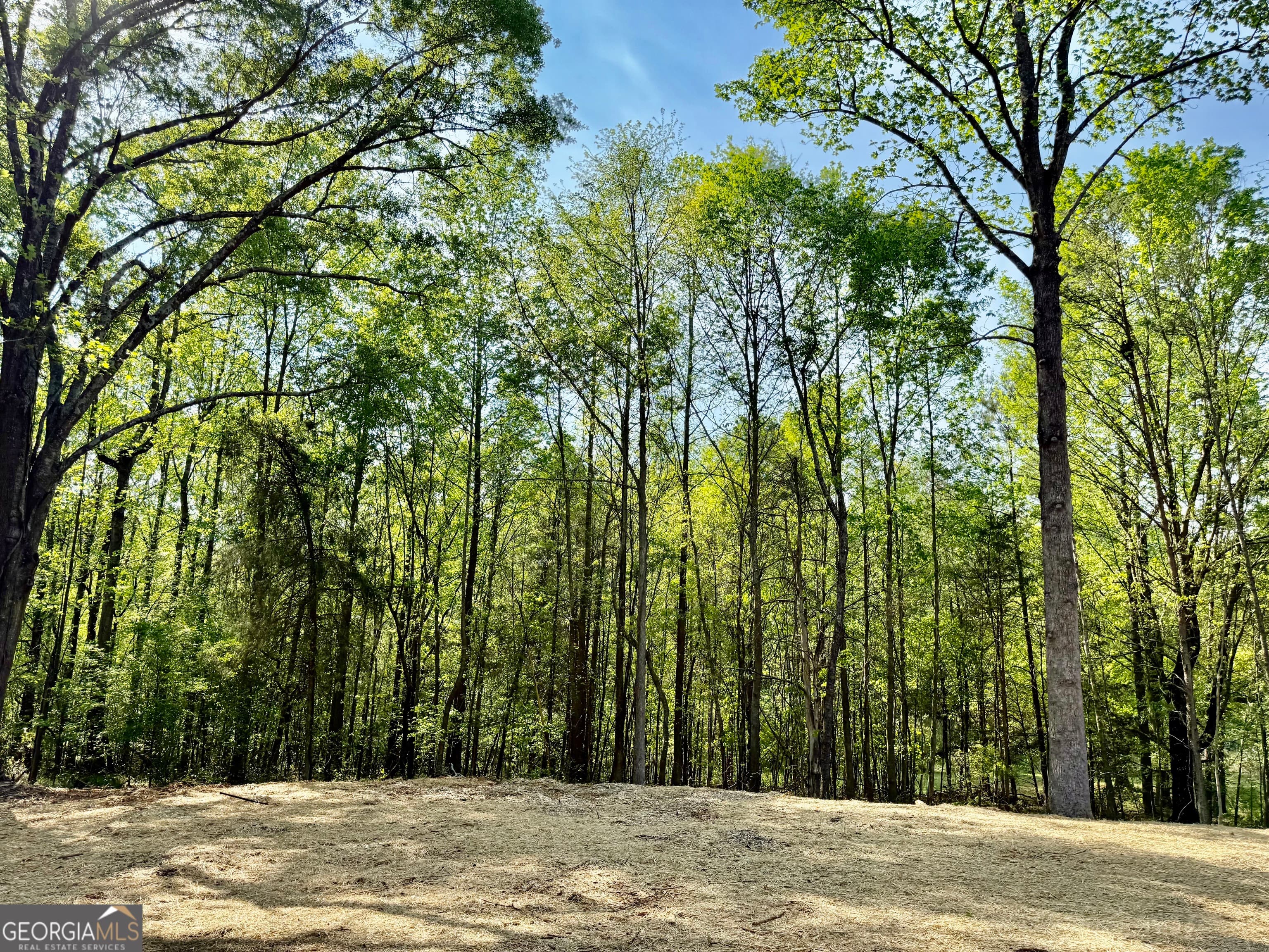 921 Silver Dollar Rd — photo 23