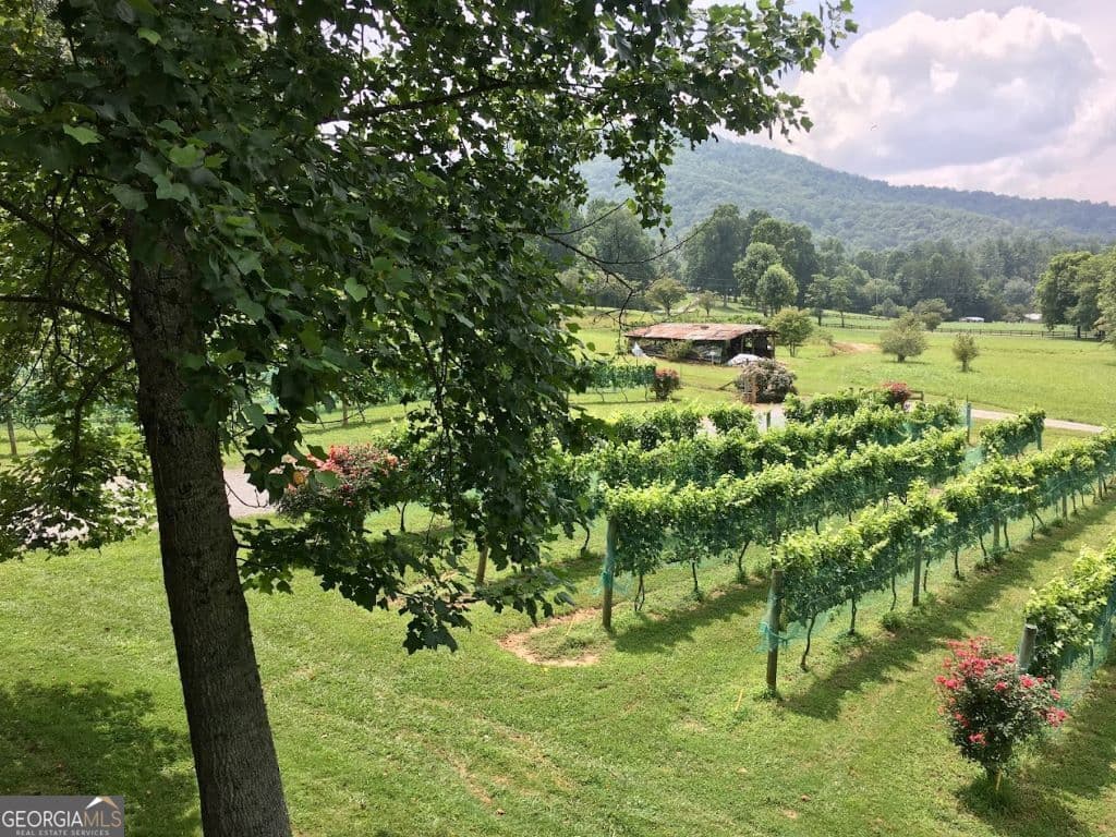 0 Heavenly Circle LOT #36 — photo 16