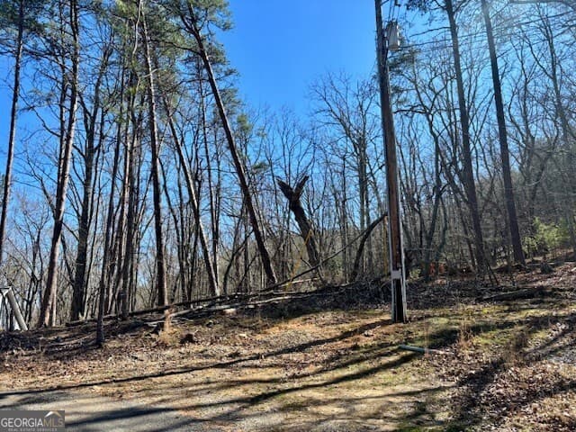 125 Gum Wood Ct — photo 2