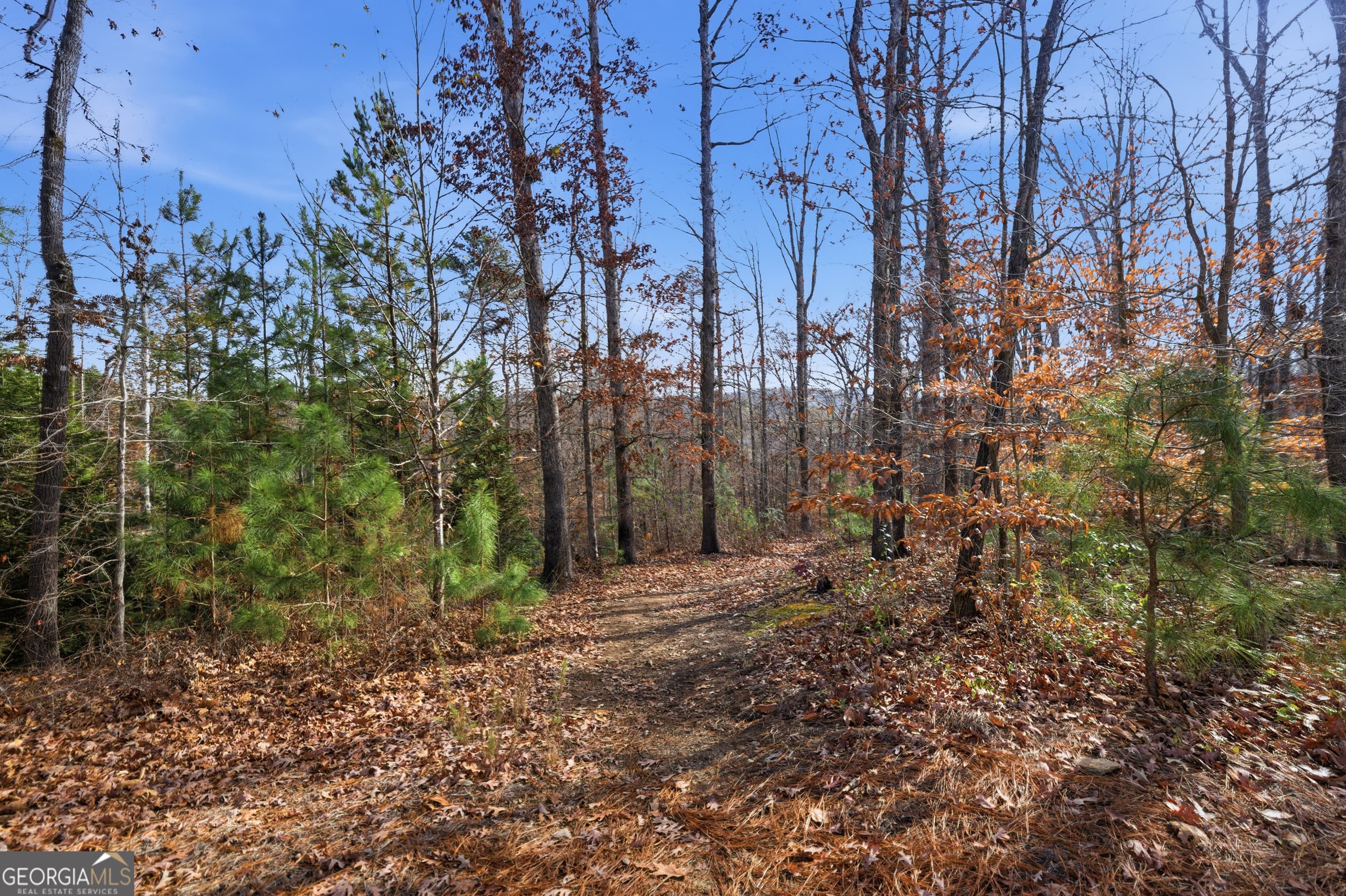 613 Abbington River Ln — photo 52