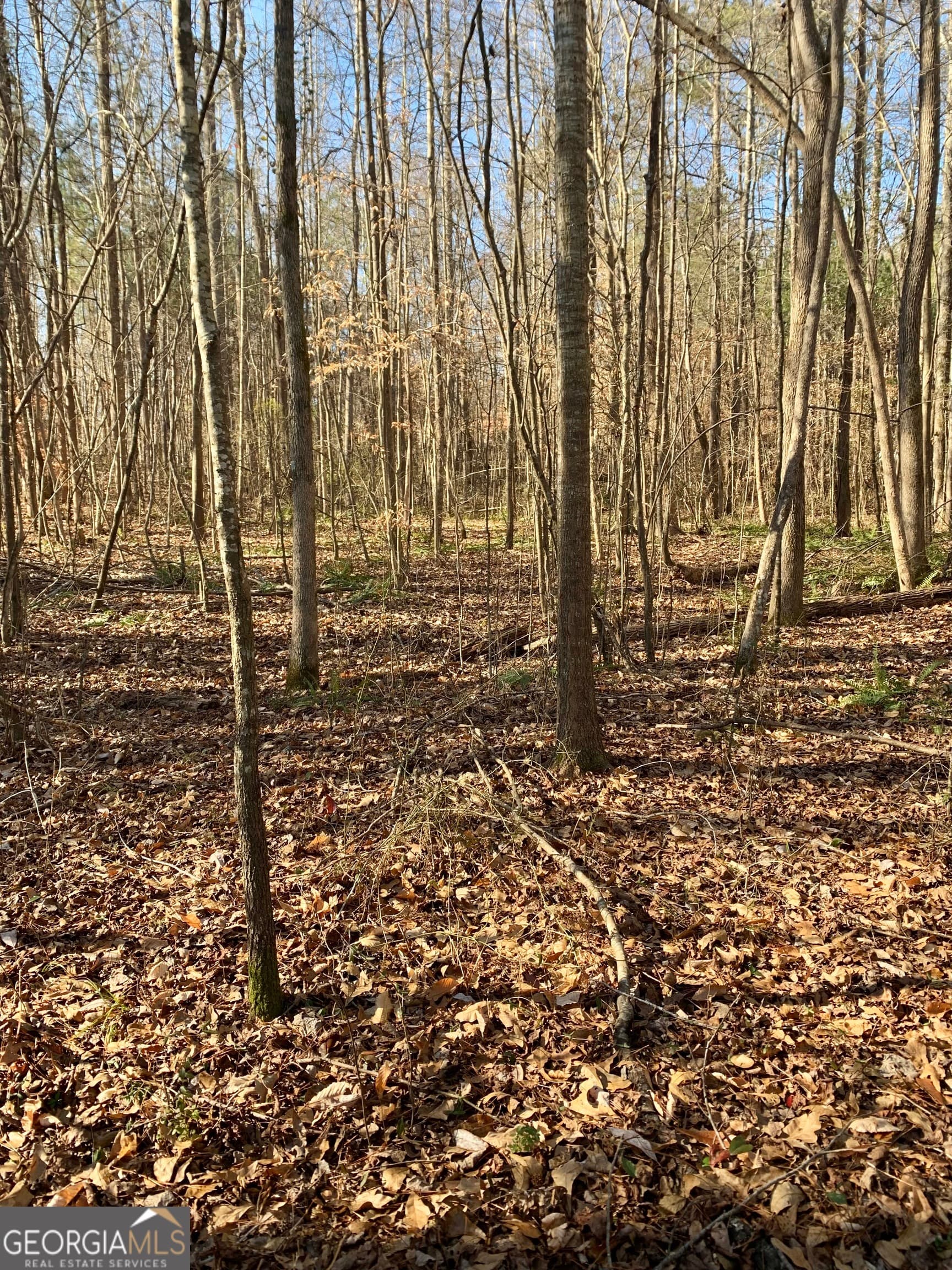 2467 Shady Grove Rd — photo 35