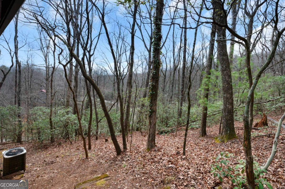 173 Mountain Laurel Ln — photo 44