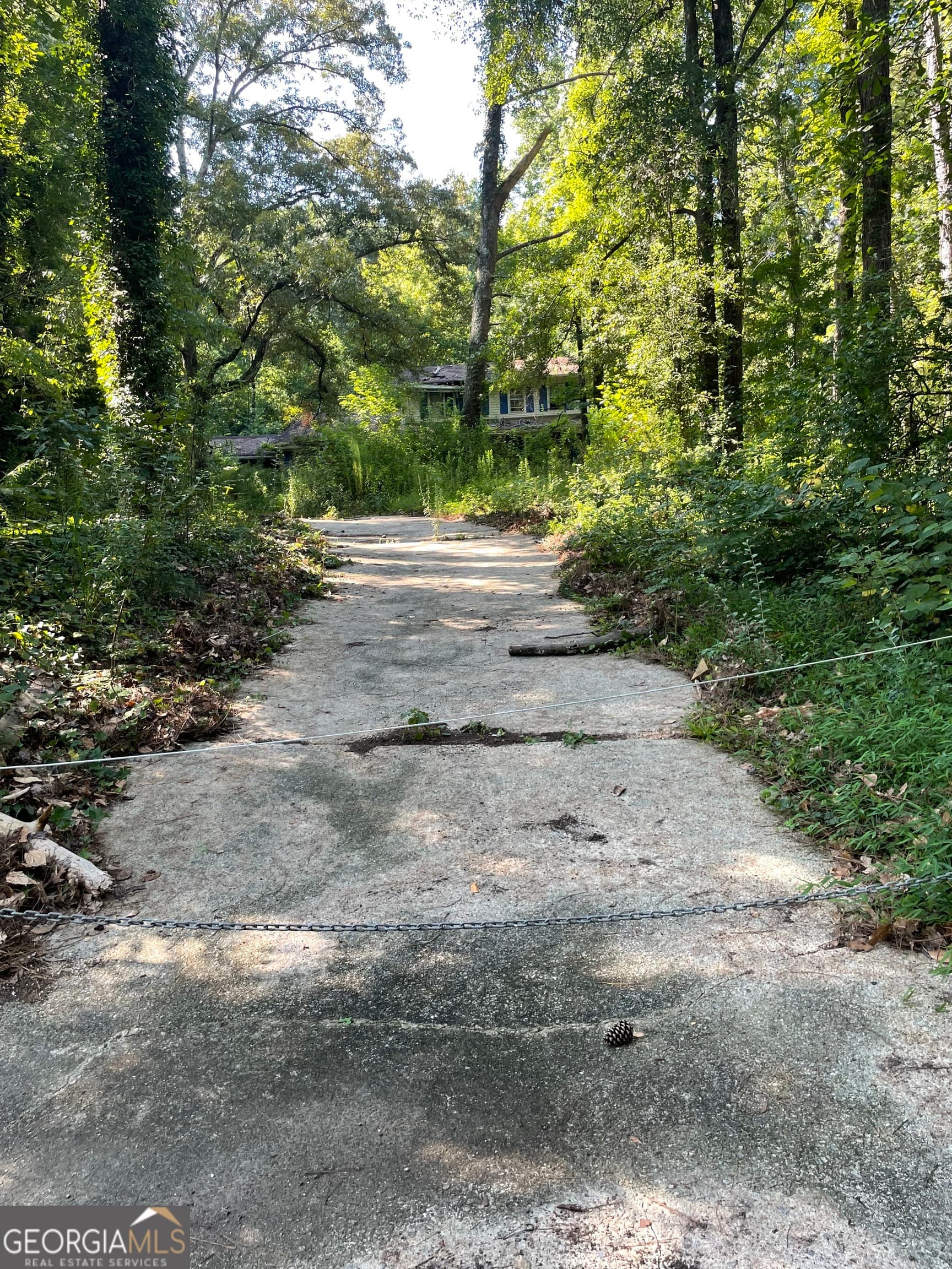 3311 Rowden Rd — photo 6