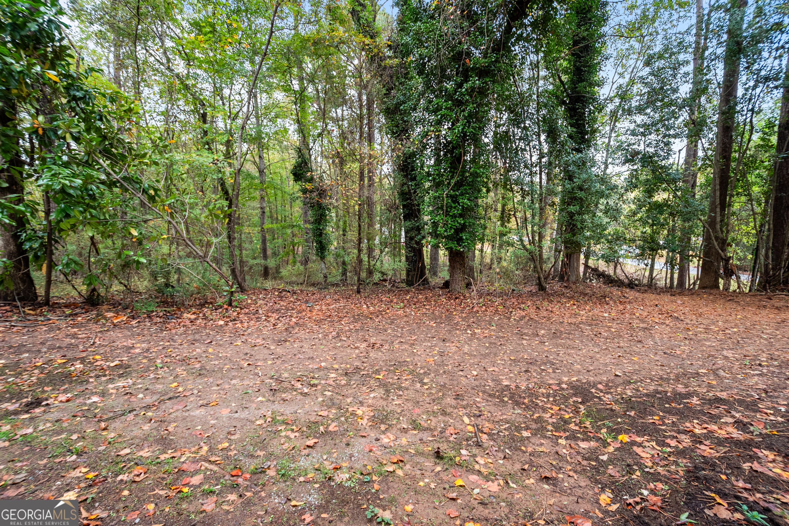 165 Fox Hunt Ct — photo 42