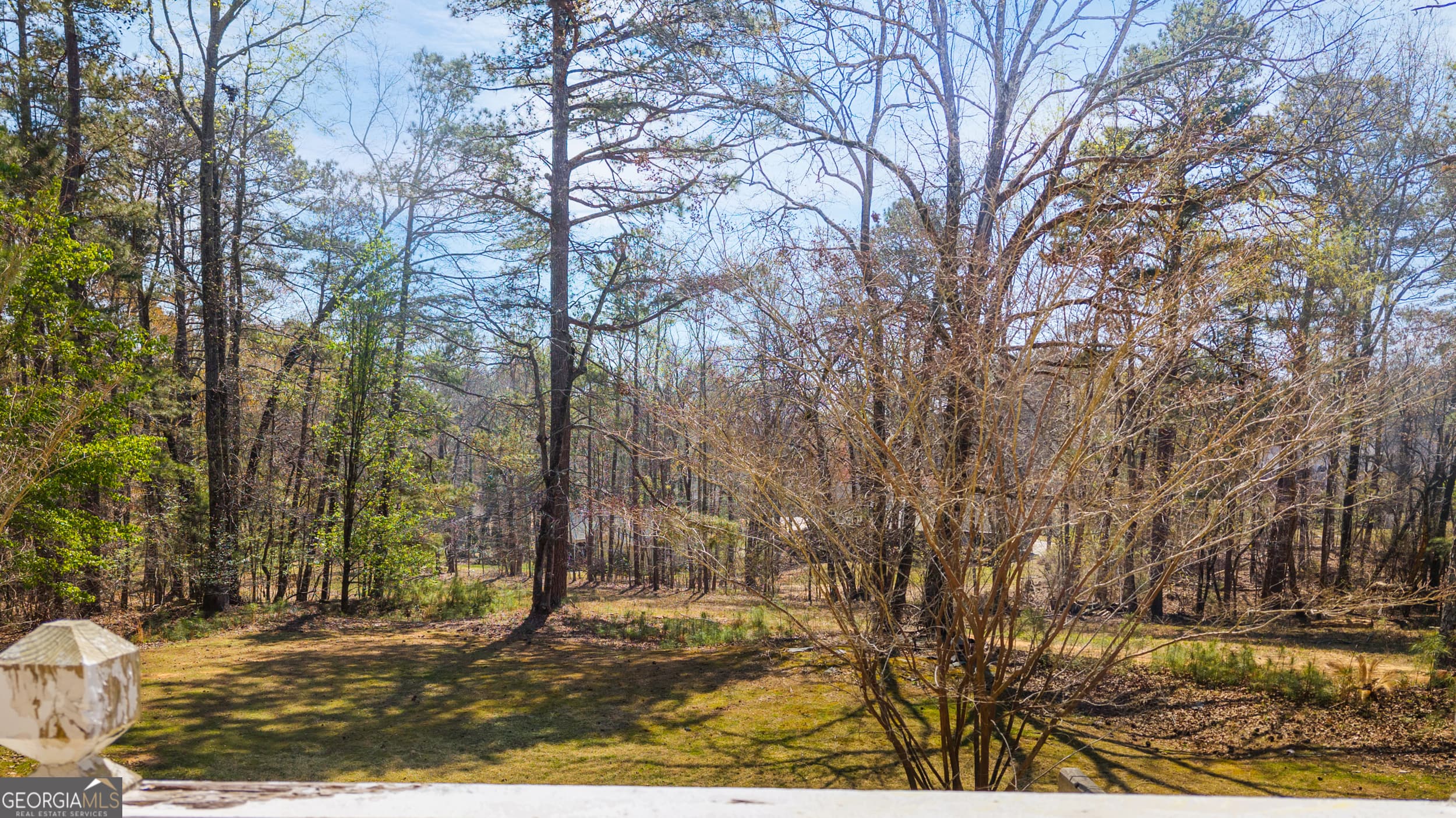 7249 Confederate Ln — photo 47