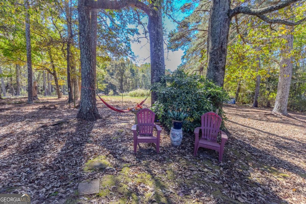 3919 Mccullers Rd — photo 39