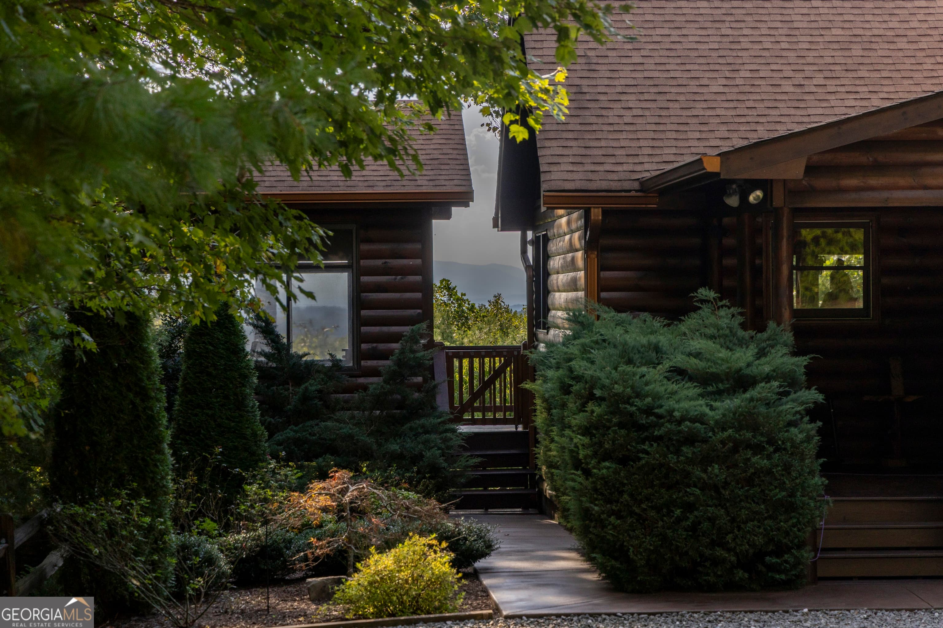 194 Squirrel Chase — photo 2