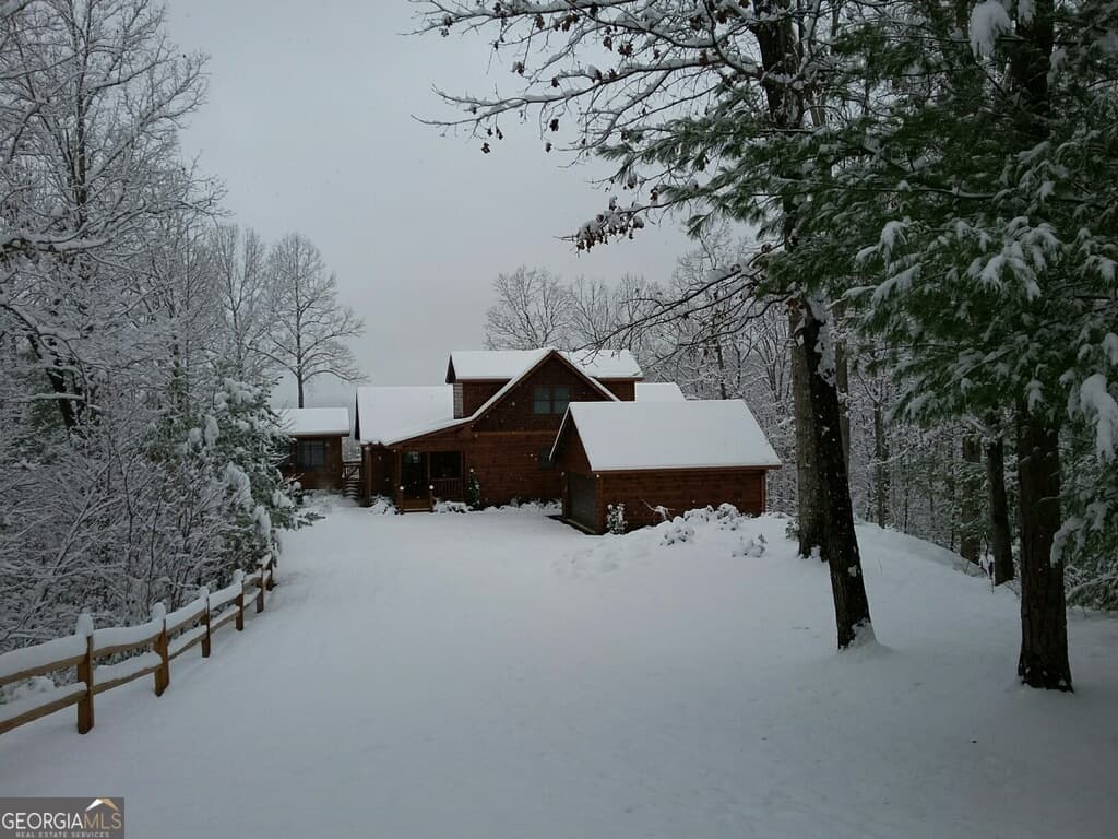 194 Squirrel Chase — photo 60