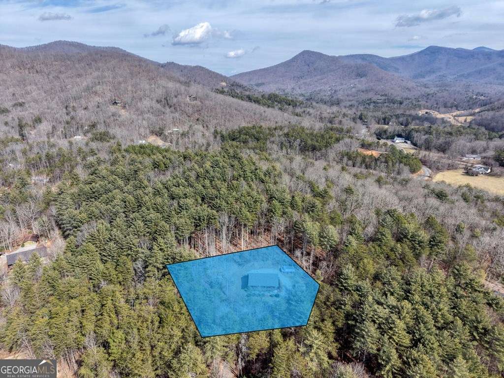 101 Kristina Ln — photo 46