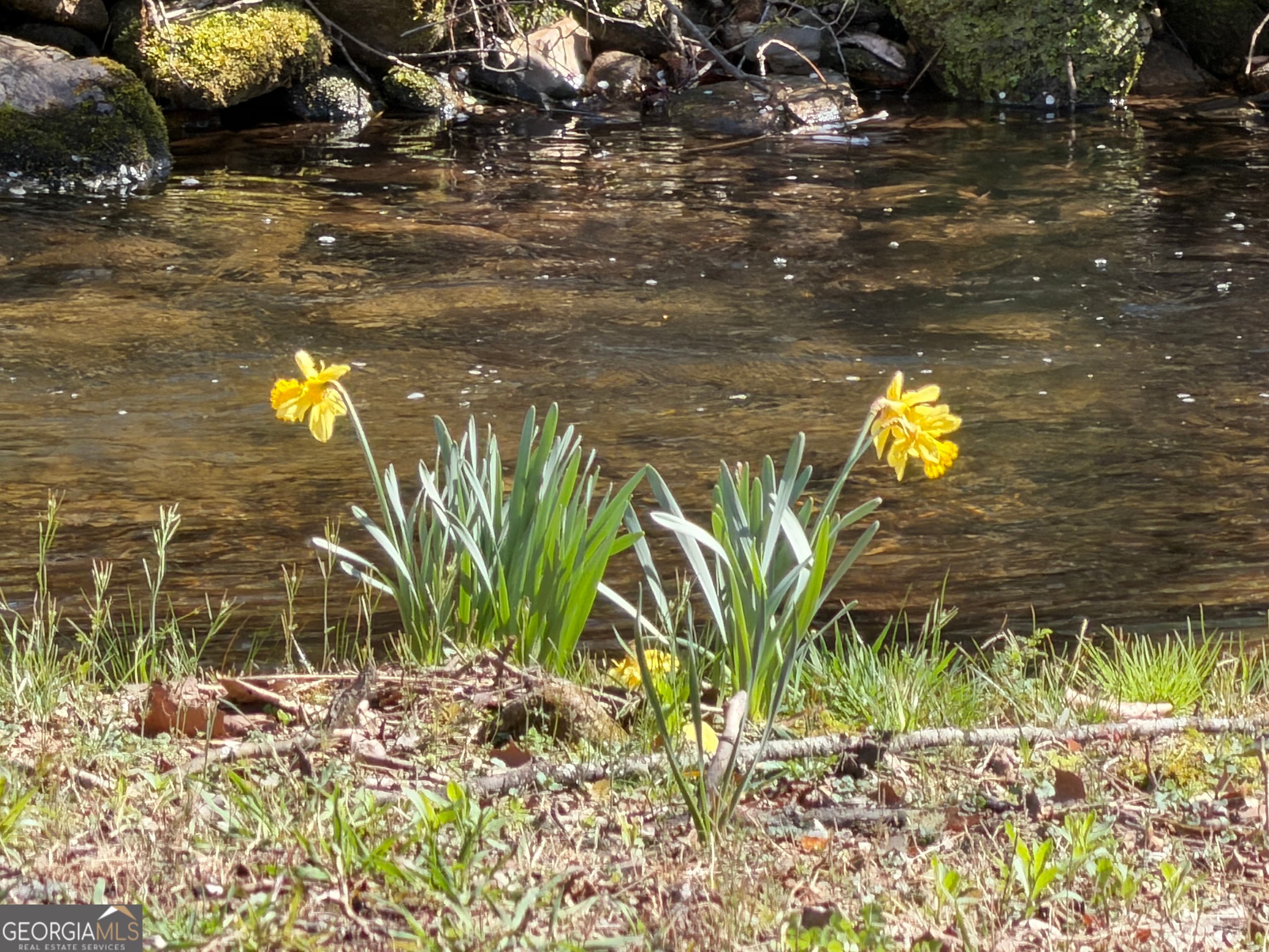 1162 Blacks Creek Dr — photo 2