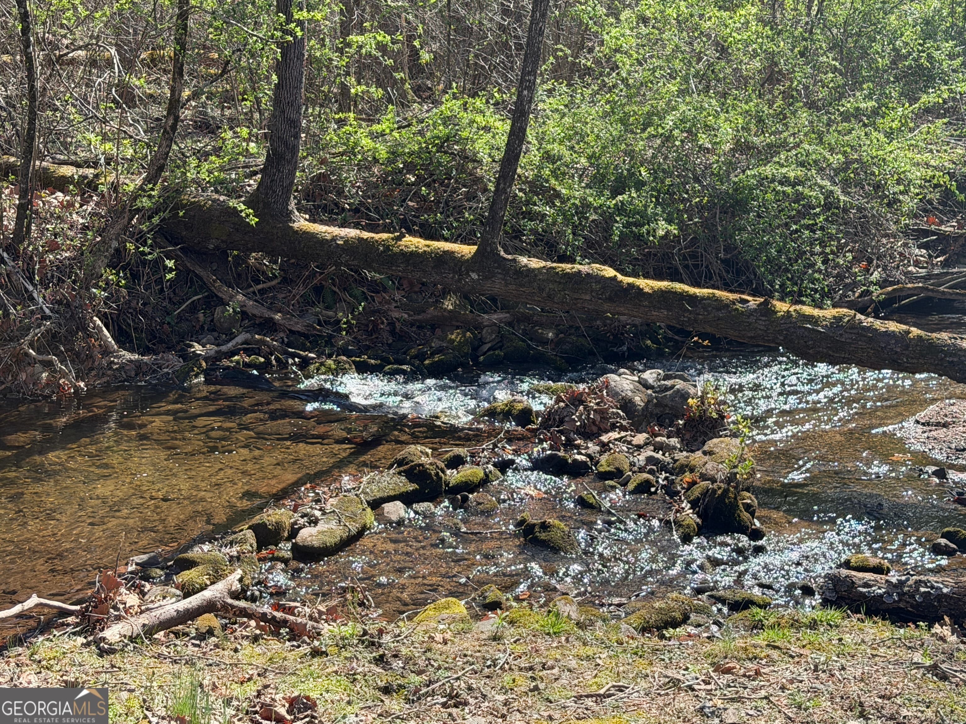 1162 Blacks Creek Dr — photo 38