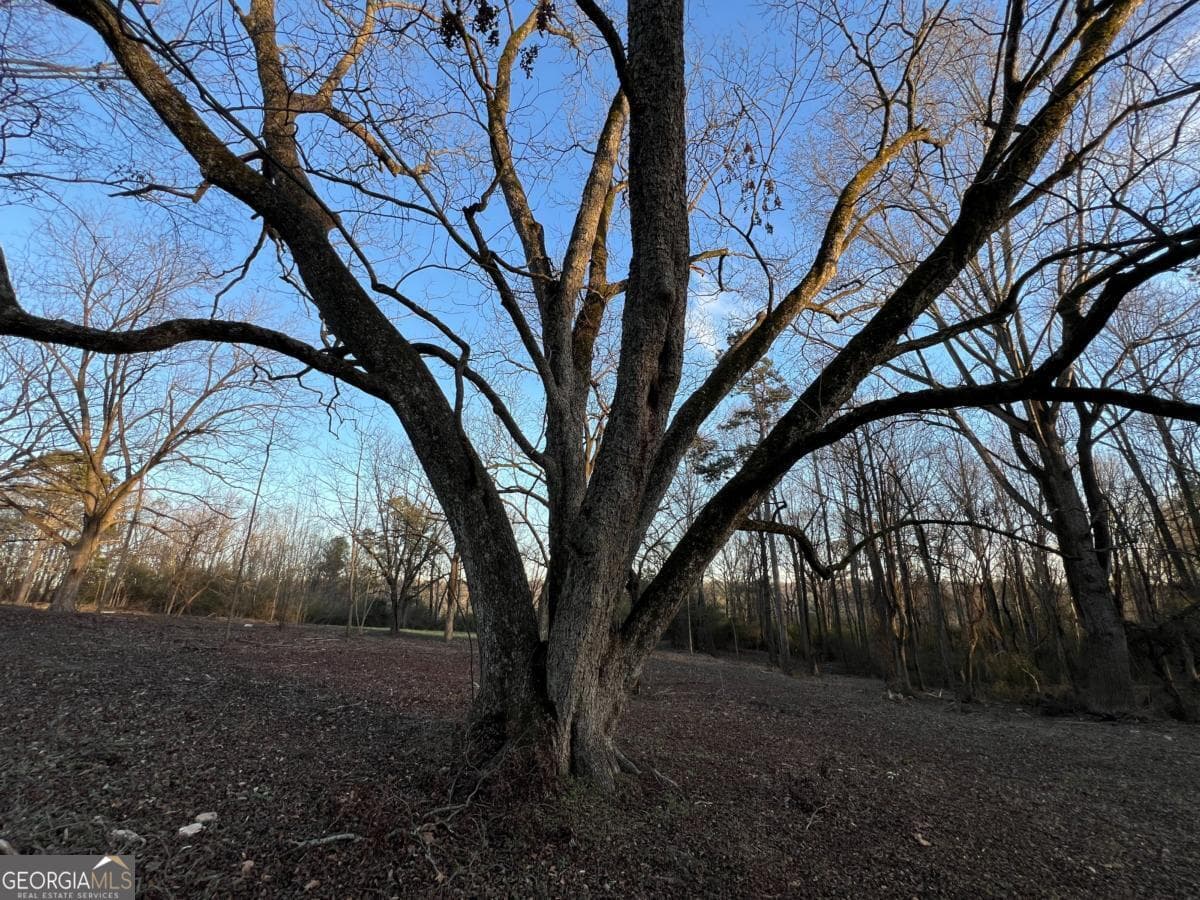 4638 Hwy 63 — photo 55