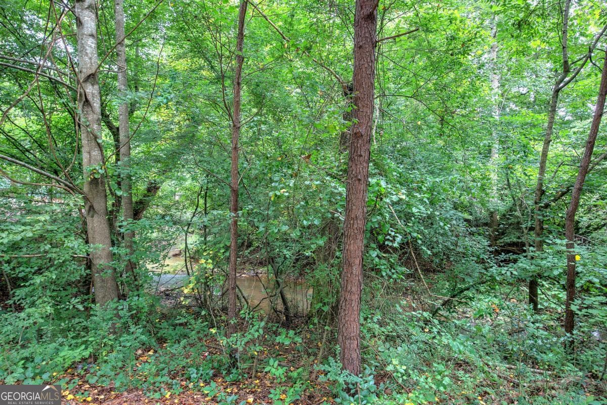 346 Thorn Creek Way — photo 50